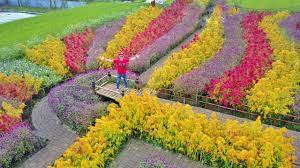 Jun 20, 2021 · rumah bagi ribuan tanaman konvensi. Pesona Taman Bunga Kadung Hejo Di Pandeglang Backpacker Jakarta