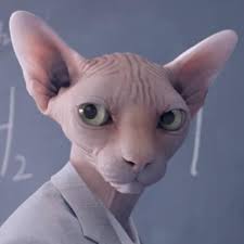 haihaidoll • Instagram photos and videos