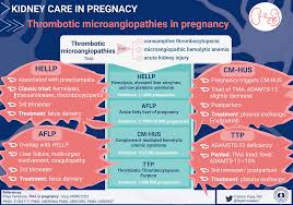 Image result for Plasmic Score