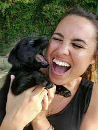 71 likes · 2 were here. Luxembourg Pet Boarding Sitting Grooming Petbacker