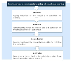 ib psychology blog ib psychology