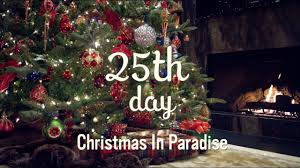 Christmas Tree Decorating Ideas La Jolla Christmas Home Tour 25 Youtube Christmas Christmas Tree Decorations Book Christmas Tree