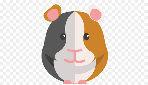 Meerschweinchen Pflege Hamster Maus - Meerschweinchen png herunterladen - 512*512 - Kostenlos transparent png Herunterladen.