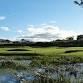 Dunbar Mixed Team of 4 Autumn Scramble event image
