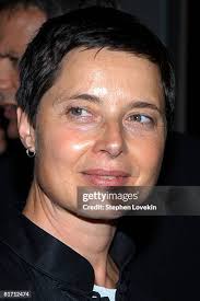 347 Alan Bangs Stock Photos, High-Res Pictures, and Images