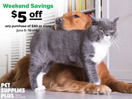 Search for other pet boarding & kennels in queensbury on the real yellow pages®. Pet Supplies Plus On Twitter Excuse Me Sir I Have Some Shopping To Take Care Of Petsuppliesplus Minusthehassle Weekenddeals Savings Greatcattakeover Checkmeowt Https T Co 0uf0o8kvmi Https T Co Qnsbwk59nd