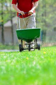 How To Overseed Or Reseed Your Lawn In 2021 Overseeding Lawn Fertilizer Seeding Lawn