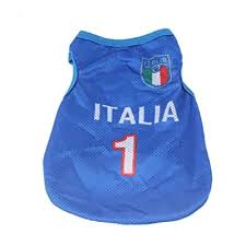 Maglie calcio poco prezzo, tute calcio 2020 2021 online siti affidabili okcalcio.com. Maglia Per Cani Nazionale Italiana Calcio Ufficiale Con Numero 1