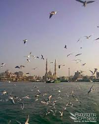 Port Said Egypt Egypt Tourism Egypt Travel Cairo Egypt
