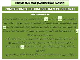 Kumpulan contoh bacaan idgham bilaghunnah di dalam al quran beserta surat dan ayatnya surat pendek juz amma 30 al baqarah yasin an naba kahfi. Ilmu Al Quran Contoh Contoh Hukum Idgham Ma Al Ghunnah Dalam Surah Albaqarah Ayat 56 80