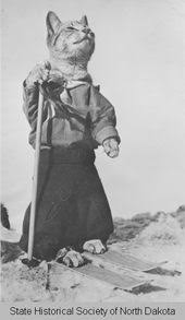 Digital Horizons Item Viewer Animal Photo Animal Magazines Vintage Cat