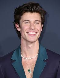 In wonder» erzählt der kanadier etwa, dass jeder song, den er je geschrieben habe, von camila handle. Erste Bilder Seit Langem Shawn Mendes Kuschelt Mit Camila Promiflash De