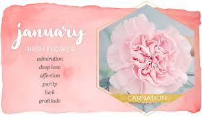 Birth Month Flowers And Their Meanings