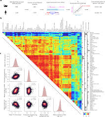 Vanessa mai nude leaked beginners, if youre are interested