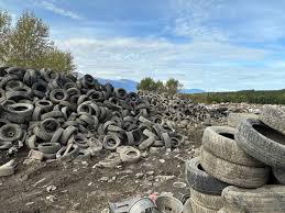 Image result for Canadian Tyre White 1965 BFI Waste