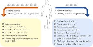 Best coffee capsule machine nzymes antioxidant complex for people. New Trends In Coffee Diterpenes Research From Technological To Health Aspects Sciencedirect