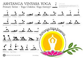Vinyasa Flow Yoga Near Media