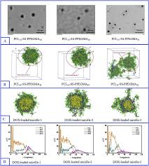B agreeing with someoneâs opinion. Dpd Simulations And Experimental Study On Reduction Sensitive Polymeric Micelles Self Assembled From Pcl Ss Ppegma For Doxorubicin Controlled Release Sciencedirect