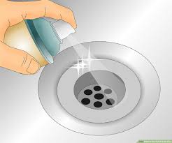 If you do, you will be living with poisons, lon. How To Get Rid Of Drain Flies 14 Steps With Pictures Wikihow