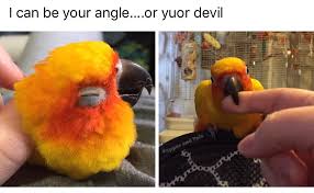 You can be constructive without being toxic. I Can Be Your Angel Or Your Devil Explore Tumblr Posts And Blogs Tumgir