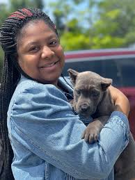 CarPets Animal Transportation