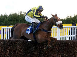 Latest longlist with weights announced. Grand National 2021 Best Runners