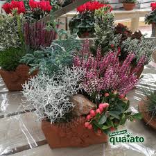 Coltiva la meglio le tua piante grasse con fiori grazie a. Idee Per Composizioni Floreali Autunnali Davvero Uniche Floricoltura Quaiato