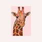 Giraffe @ Hudo Lounge, Cardiff