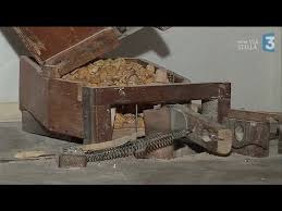 Cuttoli Les Secrets D Une Belle Farine De Chataigne Youtube