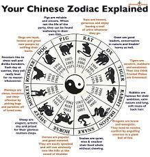 What is the chinese zodiac sign for 2020? Pin On Motivation Inspirations