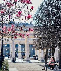 jardin du palais royal paris in spring spring in paris paris love