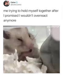 Me Trying To Hold Myself Together After I Promised I Wouldn T Overreact Anymore Popular Memes On The Site Ifunny Co Overreacting I Tried Hold Me