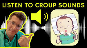 Image result for Croup