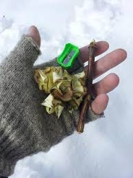 Use A Pencil Sharpener And A Pencil Sized Twig To Create Shavings For Fire Tinder Survivalkit Wilderness Survival Skills Winter Diy Survival