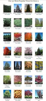 Not to mention, shade trees are beautiful specimens! Trees For Zone 5 Fruit Trees Backyard Shrubs For Landscaping Fruit Trees