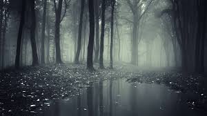 2016 09 12 Dark Forest Pic Desktop 18905 Forest Wallpaper Landscape Wallpaper Dark Wallpaper