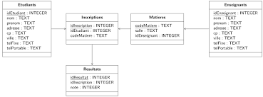 Programmer En Python 3 Interagir Avec Les Bases De Donnees