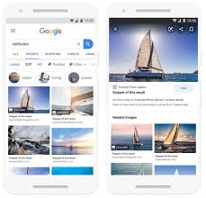 Google Toont Licentie Informatie Bij Zoekresultaten Voor Afbeeldingen It Pro Nieuws Tweakers
