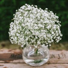 Gypsophila Hledat Googlem Wedding Flowers Red Bouquet Wedding Cheap Wedding Flowers