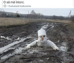 Check spelling or type a new query. Imagini Amuzante Home Facebook