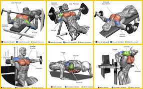 6 Best Chest Exercises Gym Workout Chart Gym Work Out Chest
