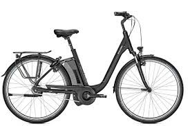 Produkte Ekone Das Ebike Center In 2020 Motor Gang Rad