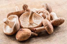 The 12 Most Expensive Mushrooms In The World Ventured