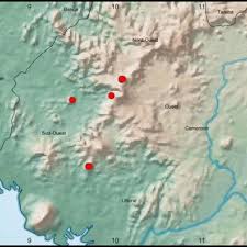 Image result for Tricalysia bagshawei