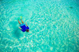 Retrouvez les informations pratiques, avis des internautes et promotions sur cholet.maville.com Aquapalme Definition Bienfaits Et Cours Ooreka