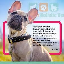 Are you a new pet parent, or looking to bolster your pet care skills? Home Boulder Holistic Vet Holistic Pet Care Vets Holistic Pet