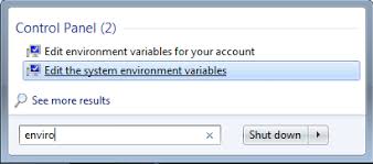 set environment variables