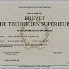 Forums pour discuter de diplôme, voir ses formes composées, des exemples modèles de certificats gratuits modifiables à télécharger et personnaliser pour toute occasion. Https Encrypted Tbn0 Gstatic Com Images Q Tbn And9gcttbr Zzvzyh8iq6usglfezewvlymvooz2 Ytfbm Wwt5slrd1v Usqp Cau