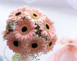 When i would get them, everyone in my office would ooo and ahh over them for days. Top 10 Florists In Memphis Quick Flowers Delivery Service