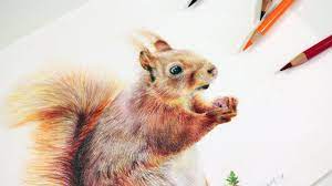 How To Draw A Squirrel With Colored Pencils Step By Step Tutorial Animal Drawings Color Pencil Drawing Colored Pencil Drawing Tutorial